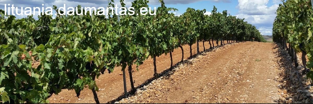 lituania.daumantas.eu